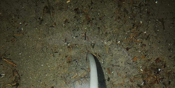 Pool filter sand